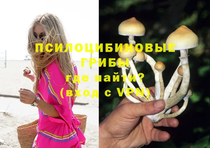 дарнет шоп  Верхнеуральск  Псилоцибиновые грибы Magic Shrooms 